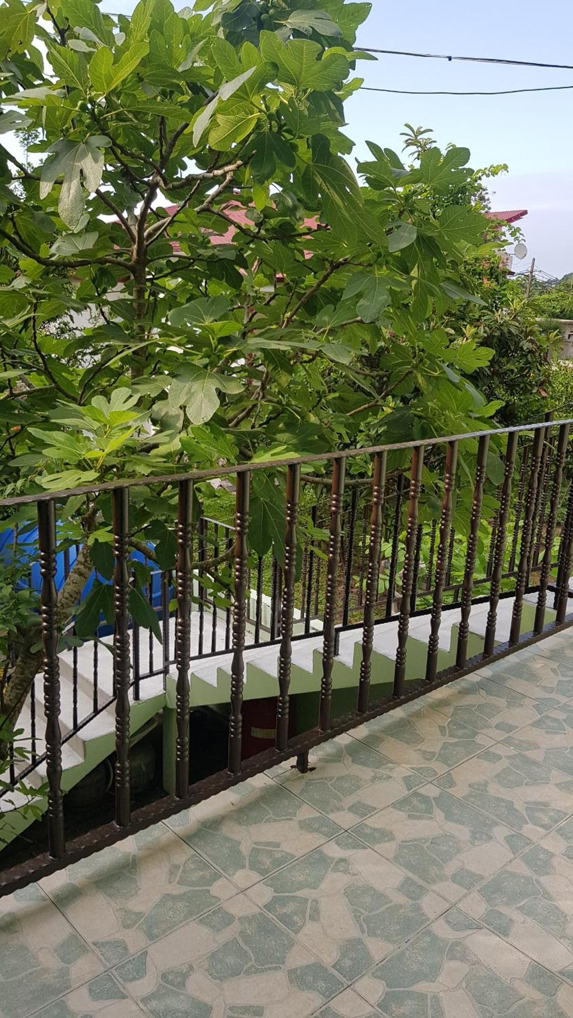 Hotel Captain Gonio Zewnętrze zdjęcie